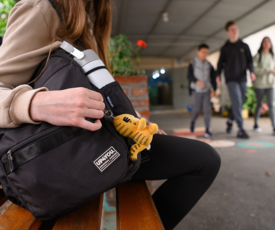 GOVERNO FEDERAL ANUNCIA REVISÃO DO DECRETO SOBRE EDUCAÇÃO ESPECIAL APÓS REAÇÃO NACIONAL